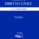 Trattario di diritto civile